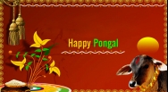 Pongal Wallpapers | Download Pongal WallPaper HD for Mobile & Desktop